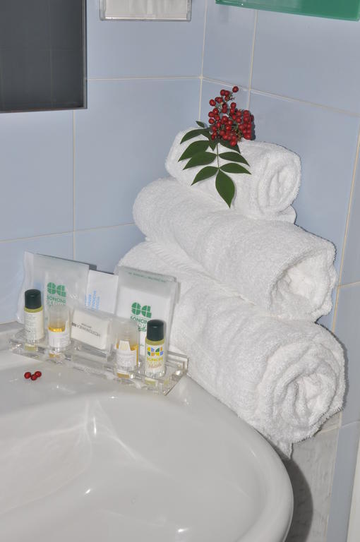 Green Hotel Poviglio  Room photo